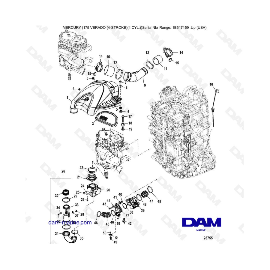 Mercury Verado 175 (1B517159 & ) - Induction components