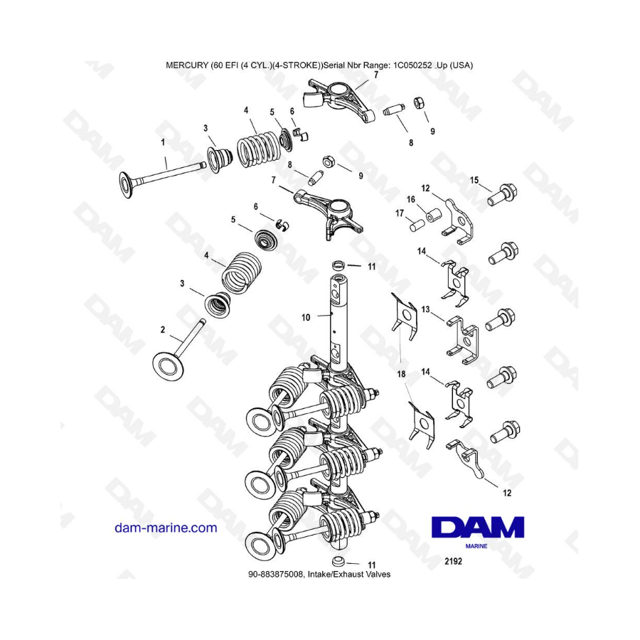 Mercury 60 EFI - Intake/Exhaust Valves Mercury 60 EFI - Intake/Exhaust Valves