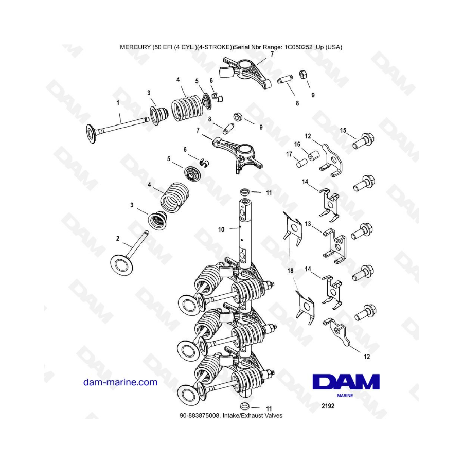Mercury 50 EFI - Intake/Exhaust valves Mercury 50 EFI - Intake/Exhaust valves