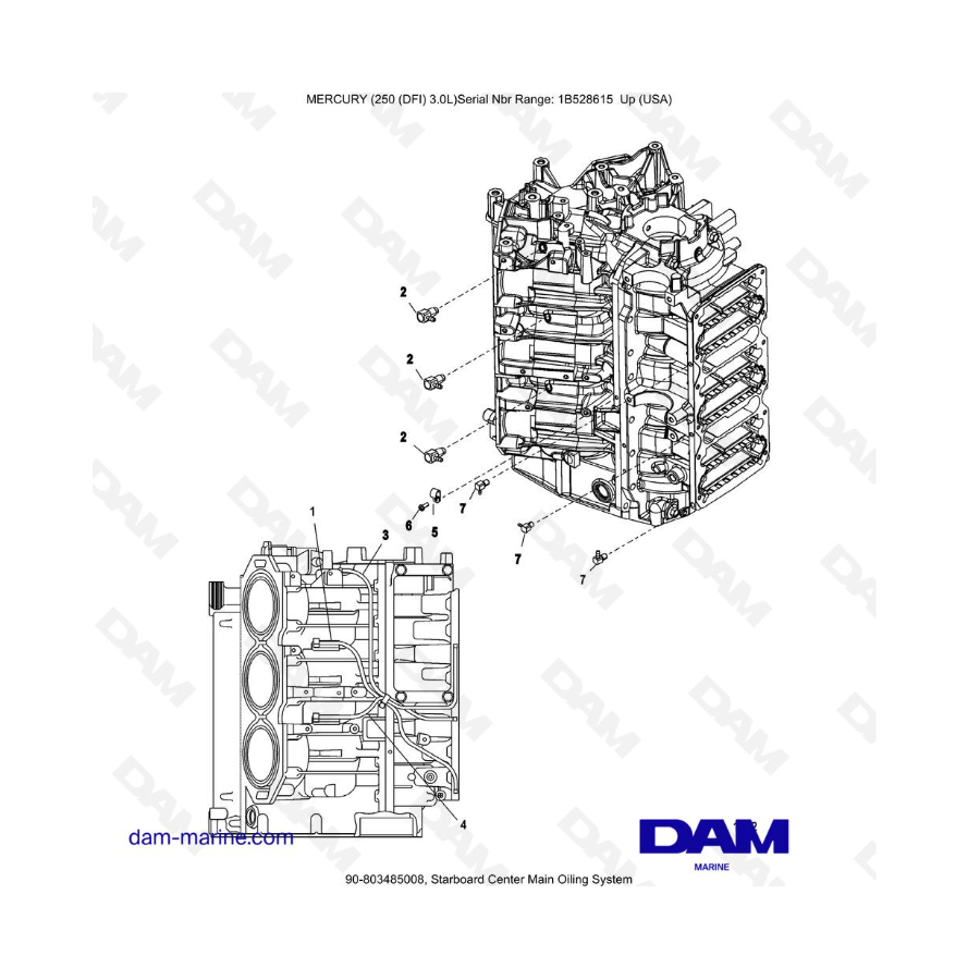 Mercury 250 DFI 3.0L - Starboard Center Main Oiling System