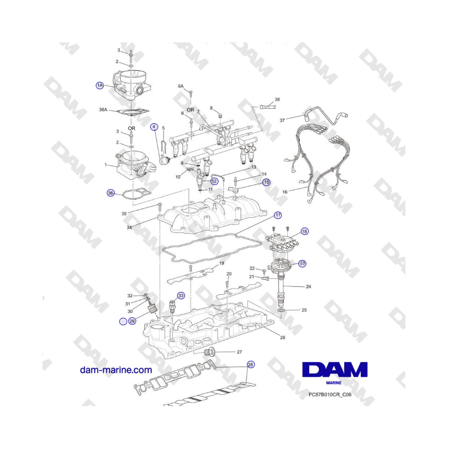 Crusader MP5.0/5.7L 2006 MY - INTAKE MANIFOLD ASSEMBLY