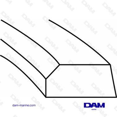 SEGMENTS MERCRUISER 3.7L - V8 460 FORD STD