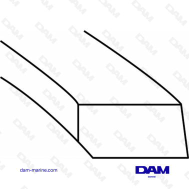 SEGMENTS MERCRUISER 3.7L - V8 460 FORD STD